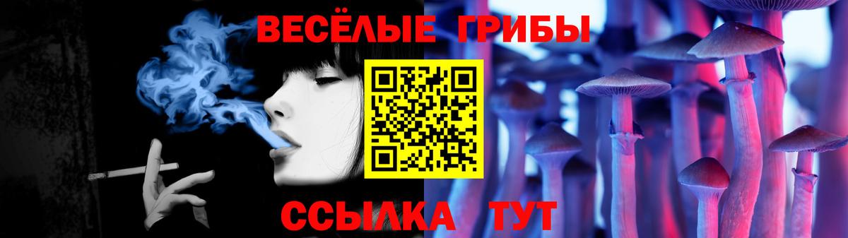 Славянск-на-Кубани  Псилоцибиновые грибы прущие грибы  даркнет сайт  Вход с VPN 